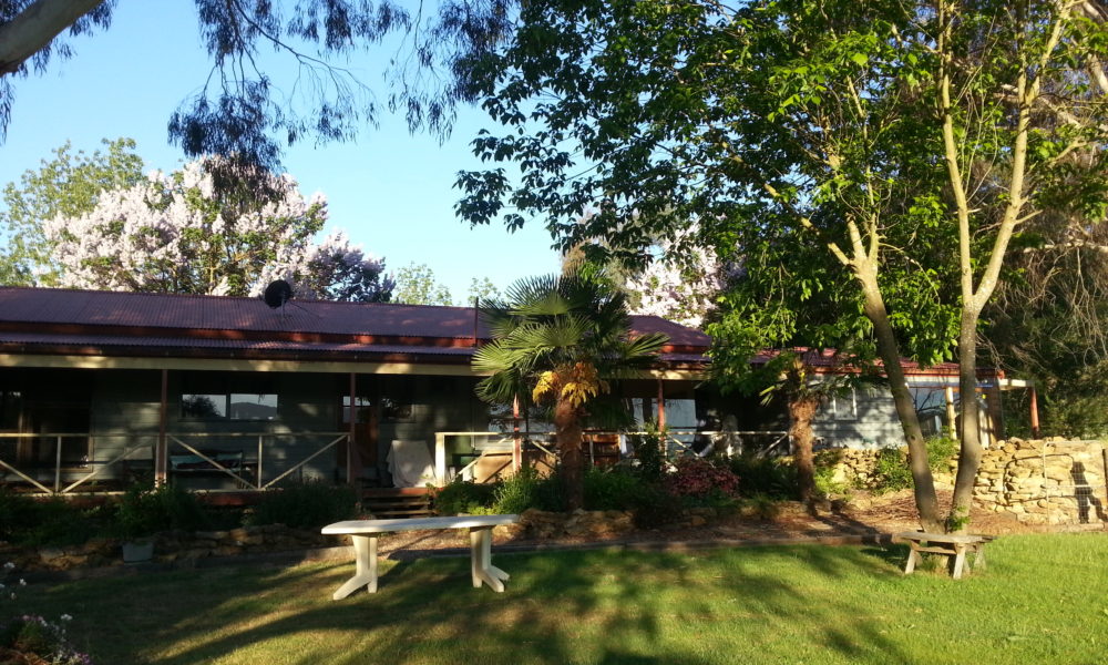Back house (2)