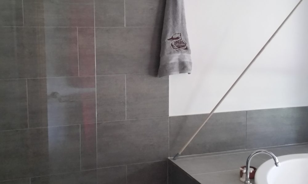 Homestead bathroom